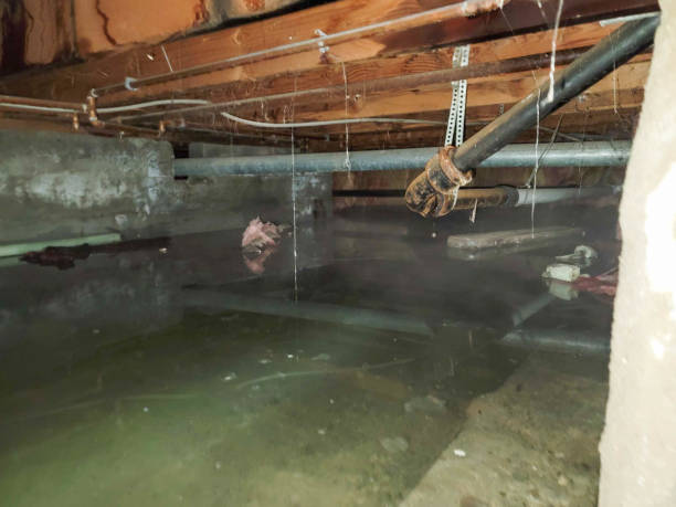 Best Emergency water damage restoration  in Greenville, NY