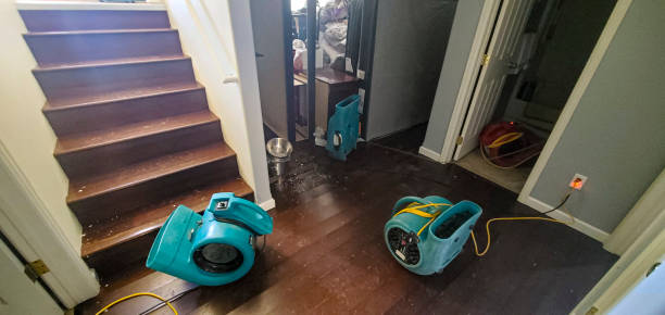 Best Emergency water extraction  in Greenville, NY
