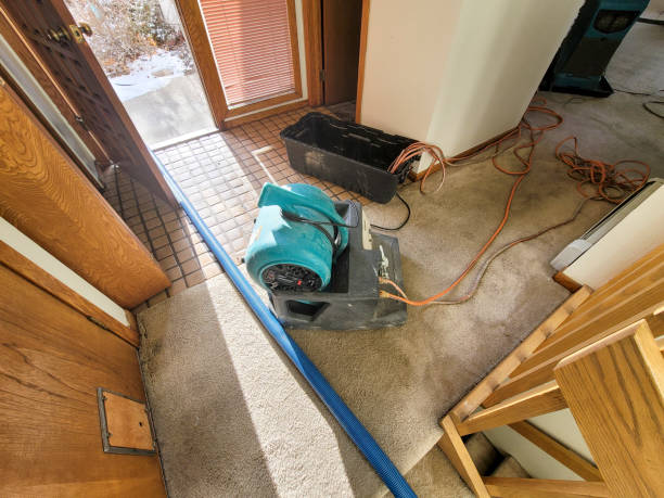 Best Water damage contractors near me  in Greenville, NY