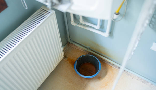 Best Professional water damage repair  in Greenville, NY