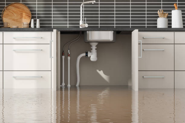 Best Water damage restoration company  in Greenville, NY