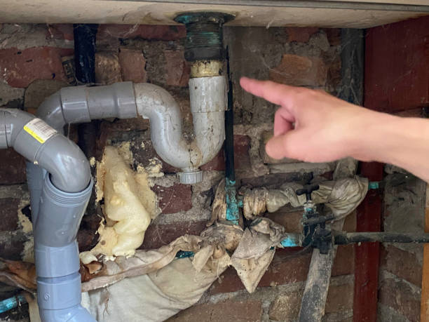 Best Water damage restoration services  in Greenville, NY