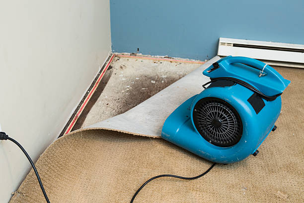 Best Water damage restoration near me  in Greenville, NY